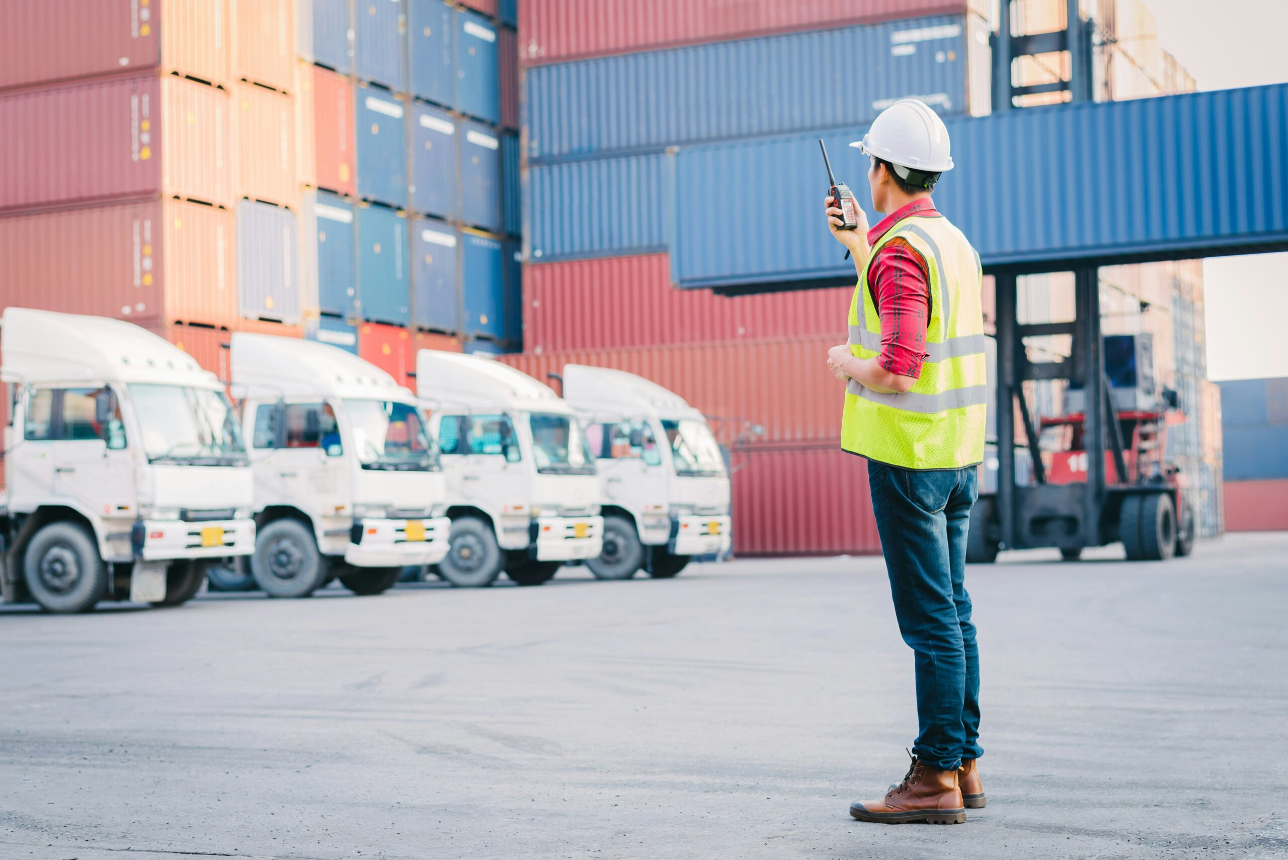 Loading Inspection — Coatings