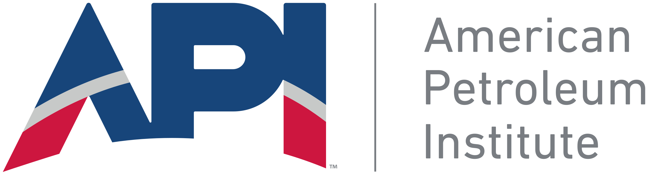 API Logo