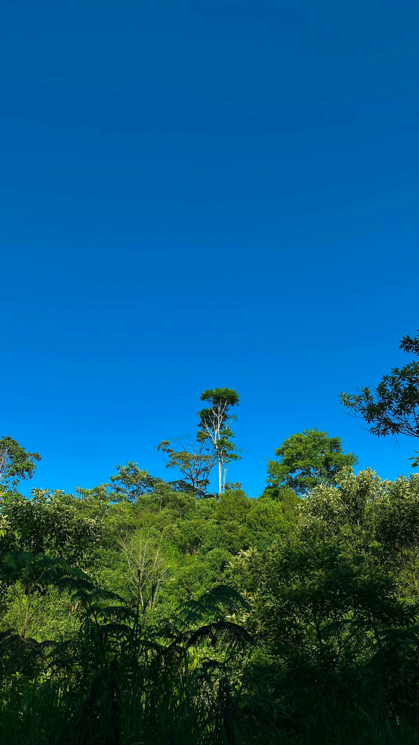 Clean Air & Natural Landscapes