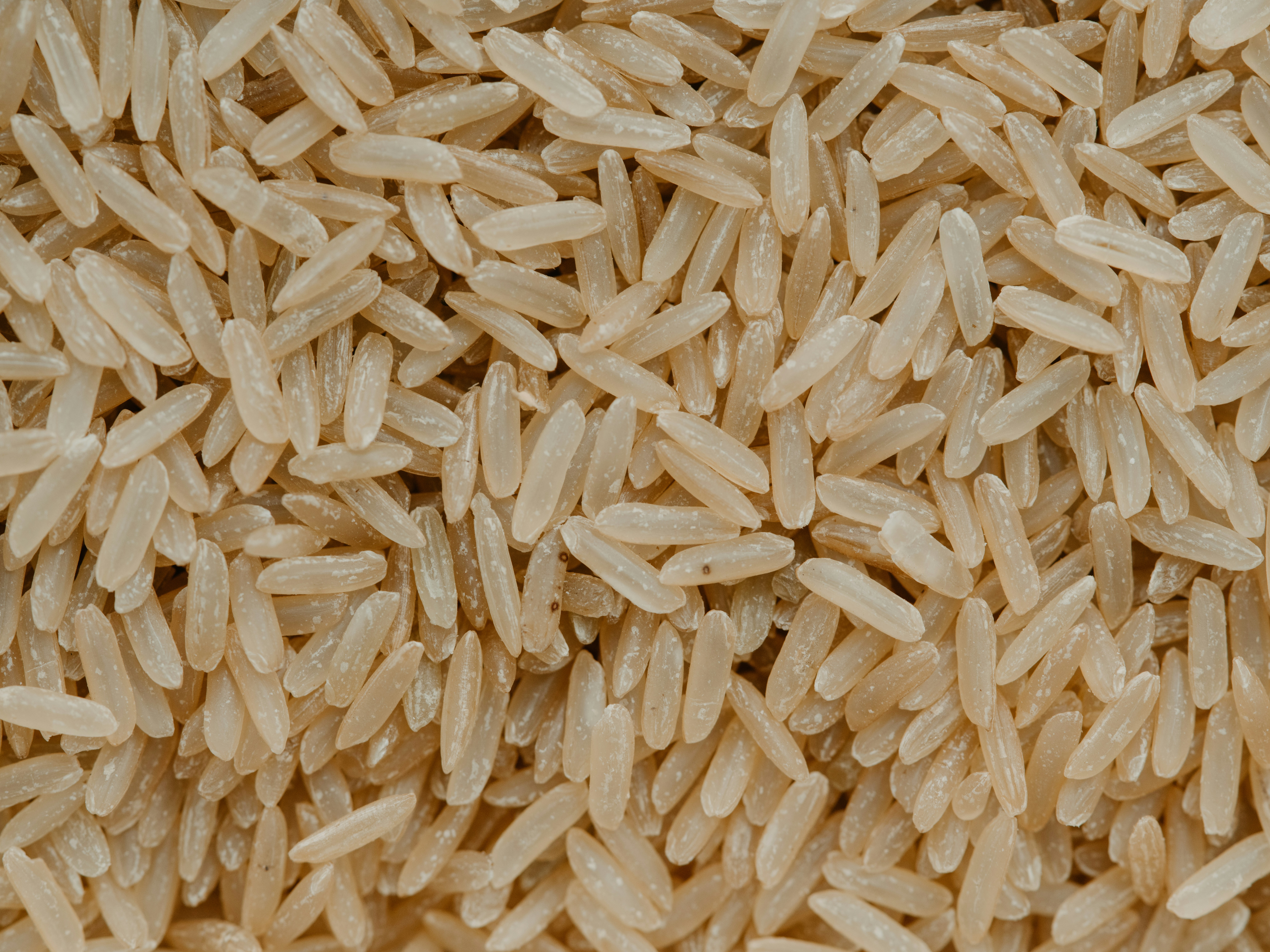 Rice Quality & Export Grading Inspection