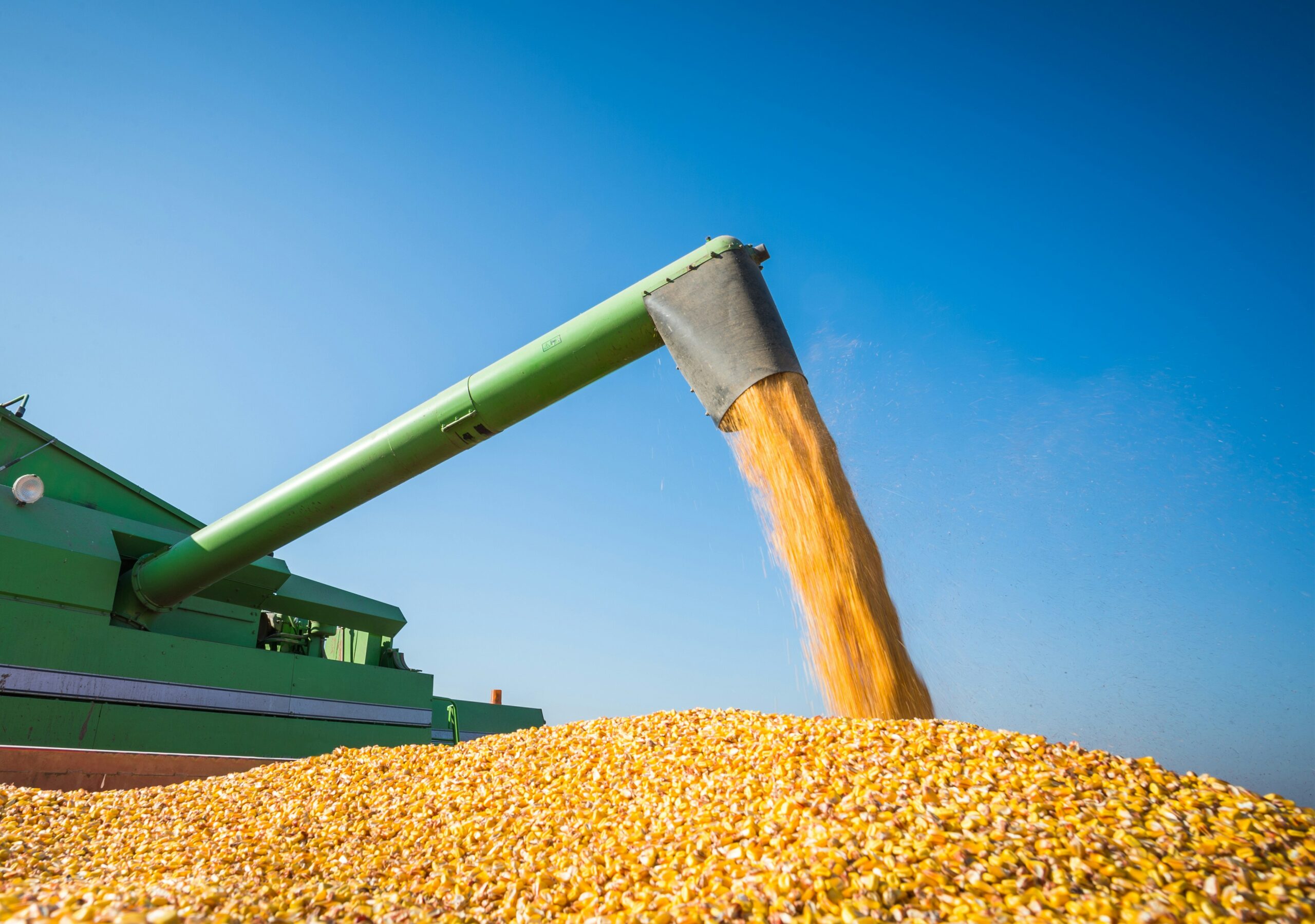 Corn Grain Unloading & Bulk Verification