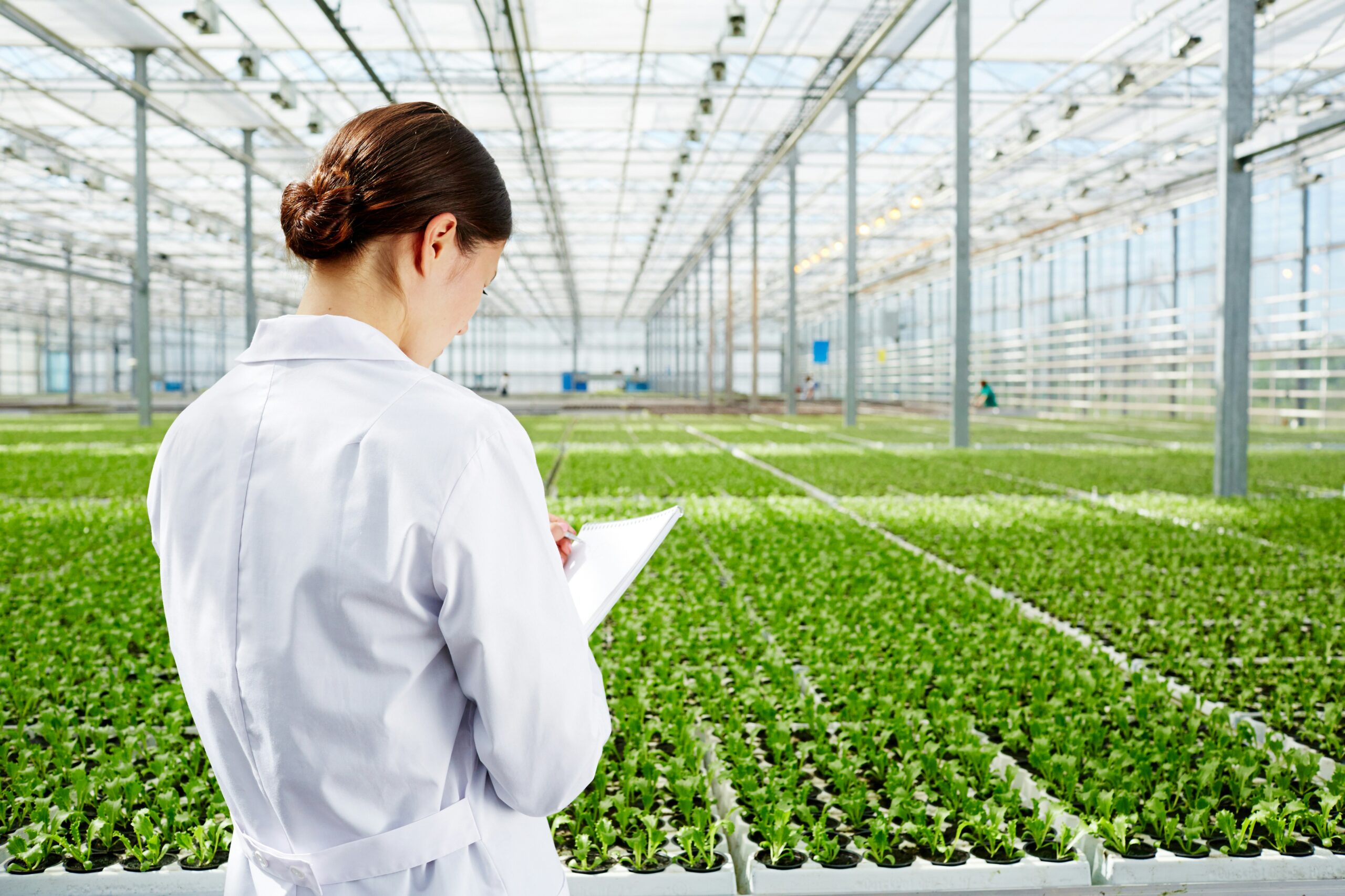 Greenhouse Crop Inspection – Growth Monitoring