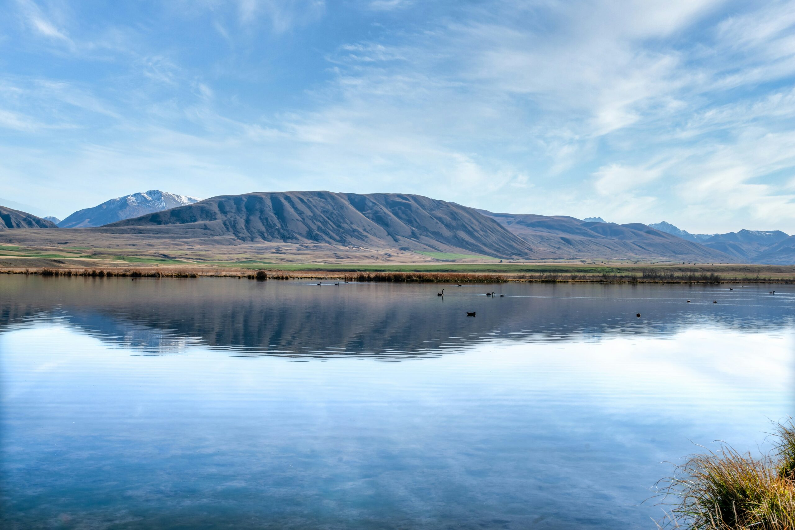 High Inspection Speed