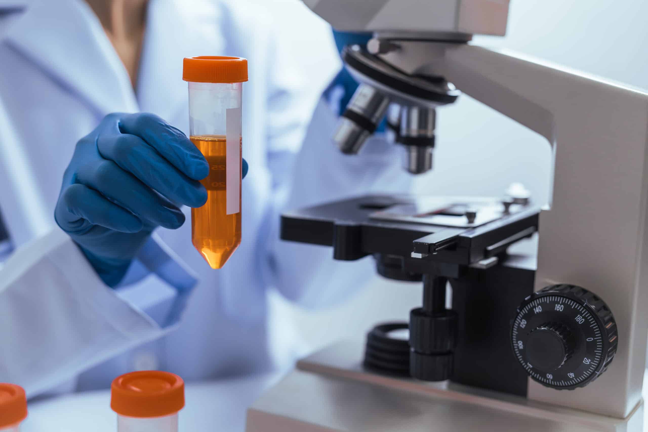 ISO certification document