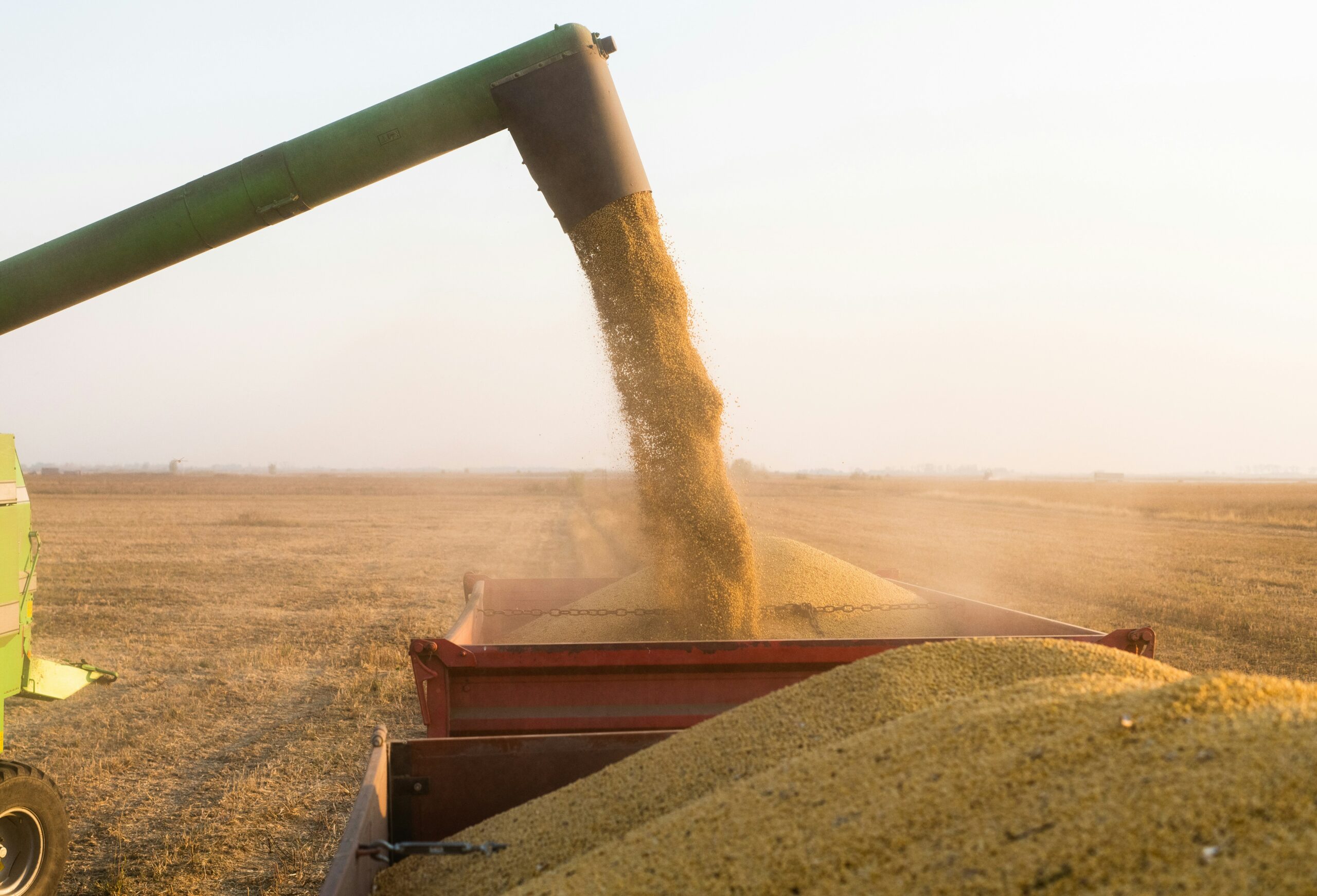 Effective in Noisy Environments