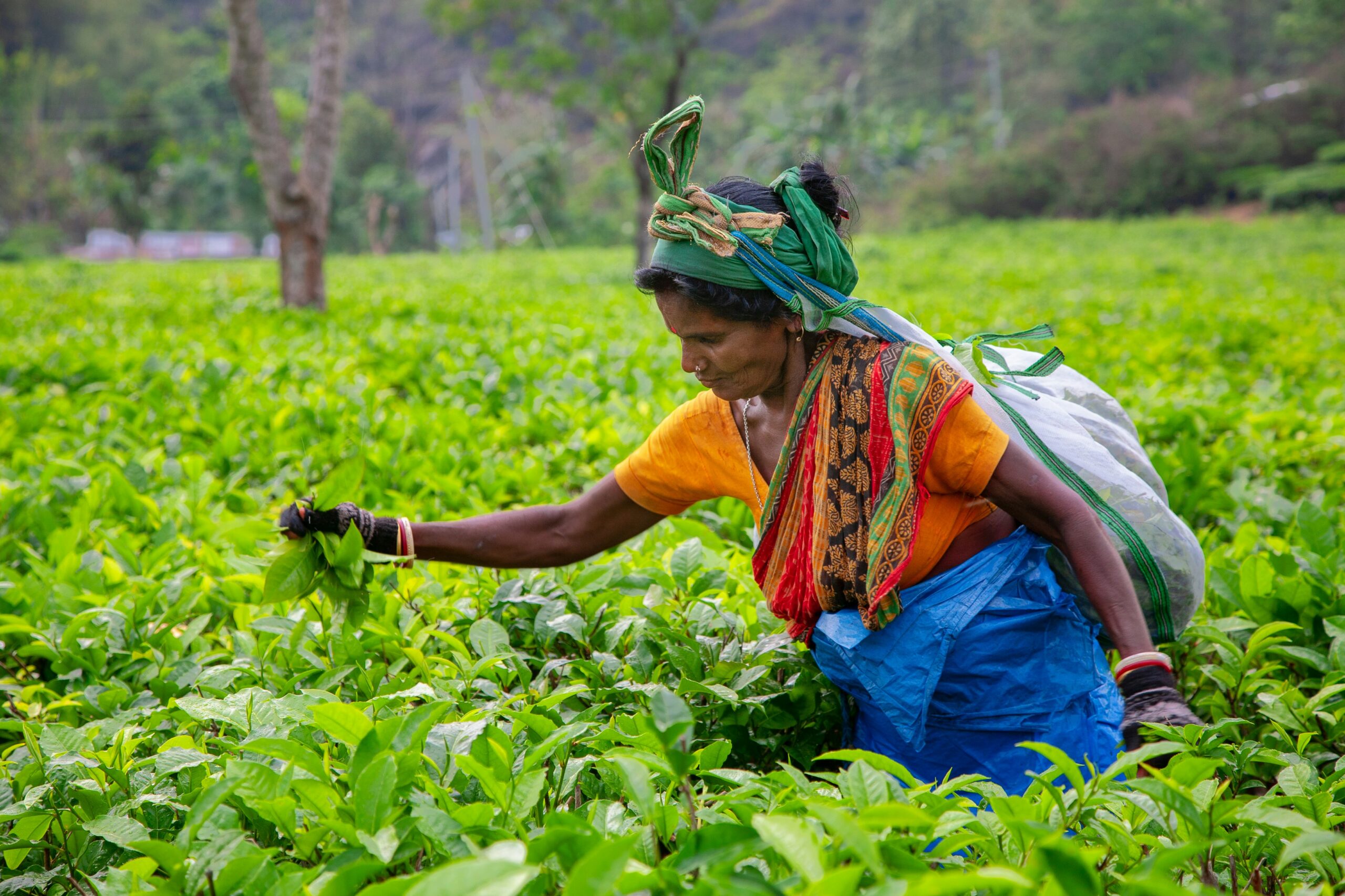 Early Leak Detection