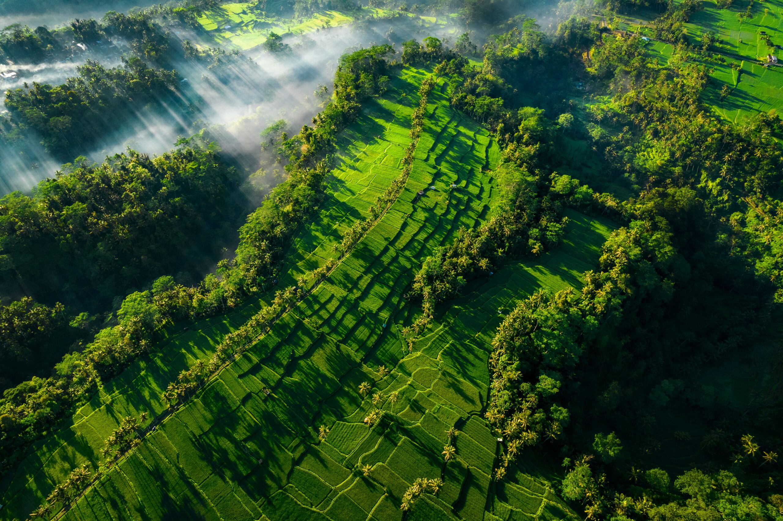 Accurate Leak Location